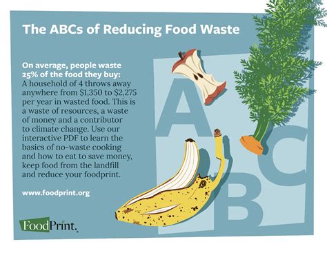 Too Good To Go Boston: The Ultimate Guide to Saving Money and Reducing Food Waste