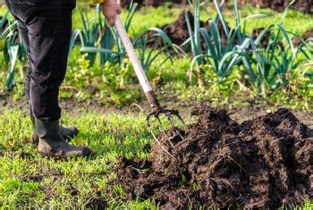 Too Much Fertilizer on Grass: A Problem 10,000 Times Too Big