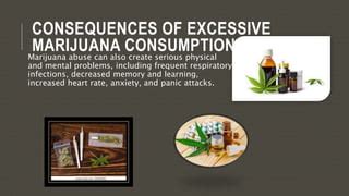 TooMuchMaria: The Perils of Excessive Marijuana Consumption