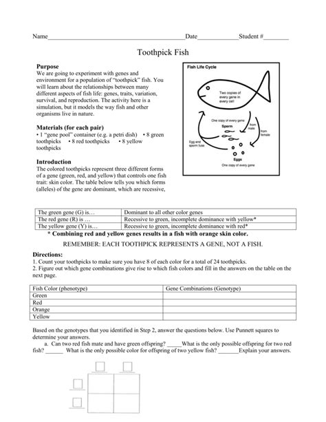 Toothpick Fish Answer Key PDF