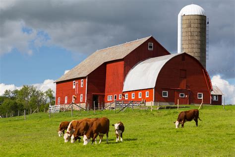 Top 10 Amazing Farms Near Me That Will Make You Want to Move