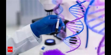 Top 10 DNA Testing Services for Unraveling Your Genetic Heritage