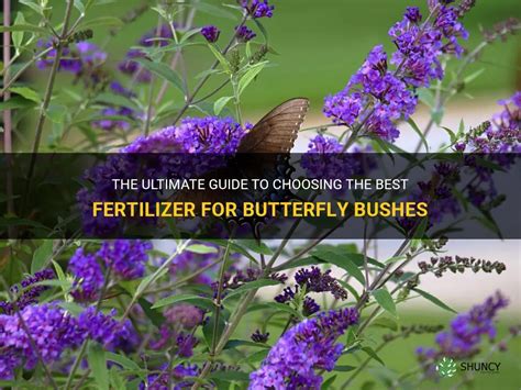 Top 10 Fertilizers for Shrubs and Bushes: The Ultimate Guide