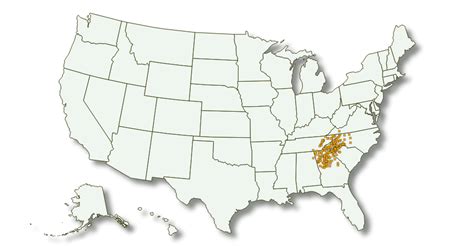 Top 10 Ingles Locations in Asheville, NC