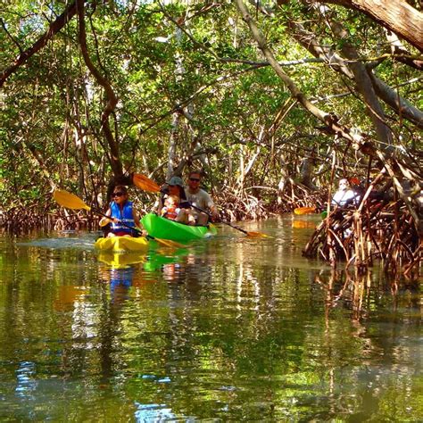 Top 10 Kayak Tours Near You: An Unforgettable Adventure Awaits!