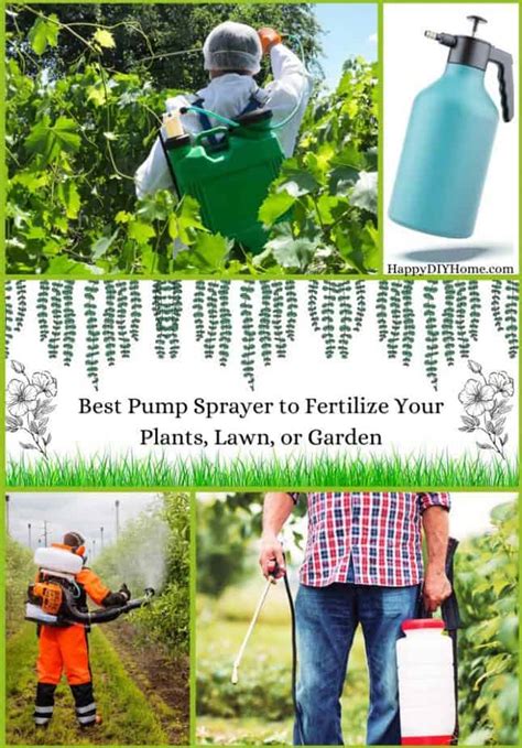 Top 101 Spray Fertilizer Tips: Transform Your Plants