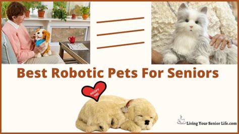 Top 5 AI Robot Pets for Seniors: Enhancing Companionship in 2025