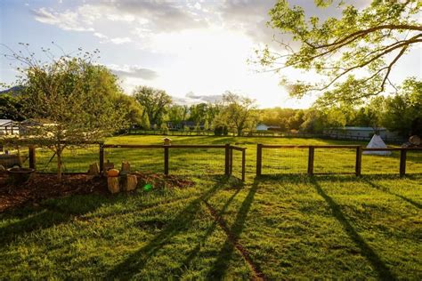 Top 5 Farms in North Jersey Worth Exploring