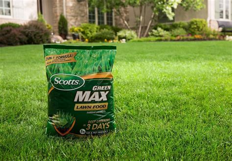 Top 5 Fertilizers for New Lawn Seed in 2023