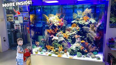 Top 5 Marine Fish Shops in Singapore