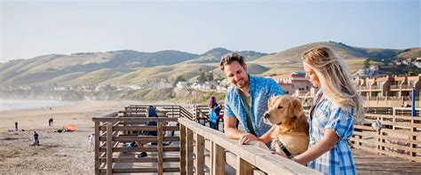 Top 5 Pismo Beach Dog-Friendly Hotels for Unforgettable Canine Vacations