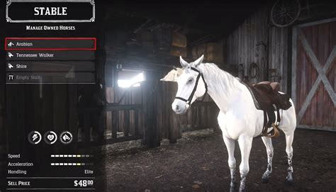 Top 5 RDR2 Fastest Horses: Breakneck Speeds for the Wild West