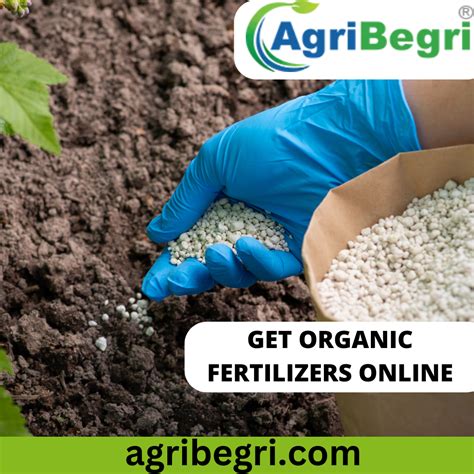 Top 7 Bio Fertilizer Manufacturers That Can Revolutionize Your Farming Practices