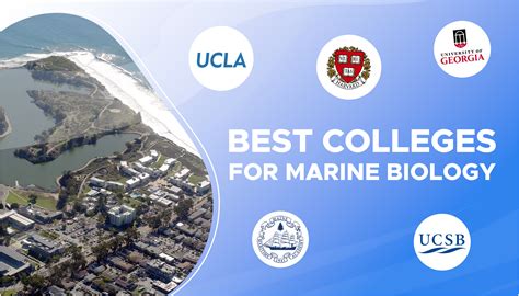 Top Marine Biology Graduate Programs