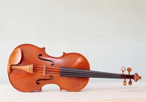 Top Notch Violins LLC: Crafting Exquisite Instruments for Discerning Musicians