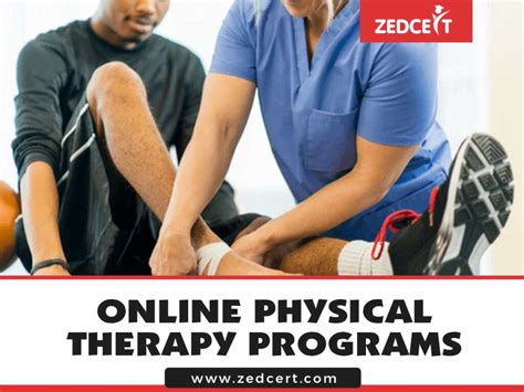 Top Physical Therapy Programs: A Comprehensive Guide