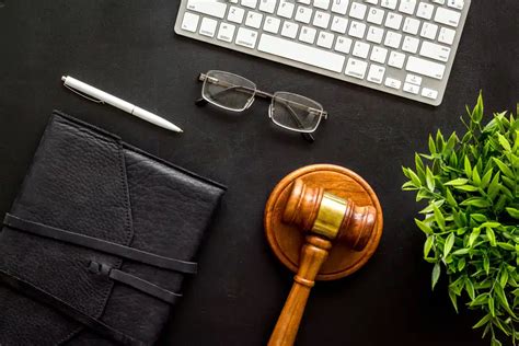 Top Pre-Law Programs That Will Propel Your Legal Career