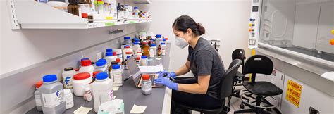 Top-Ranked Biology Undergraduate Programs: Nurturing Future Leaders in Life Sciences