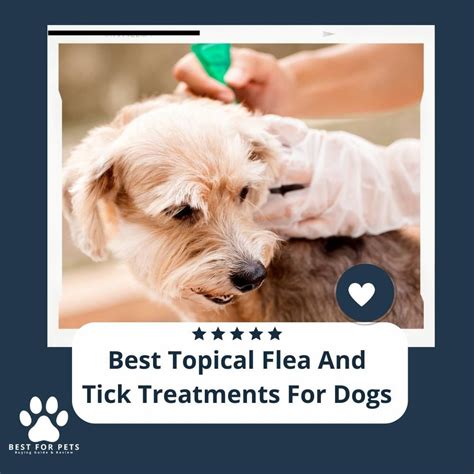 Topical Flea and Tick Treatments for Dogs: A Comprehensive Guide to #1 Protection