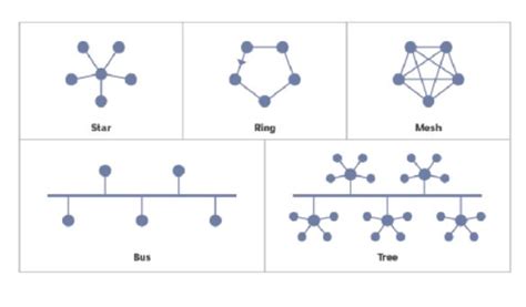 Topological Library Doc