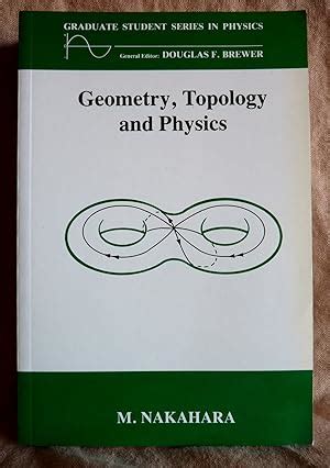 Topology and Geometry in Physics 1st Edition Epub