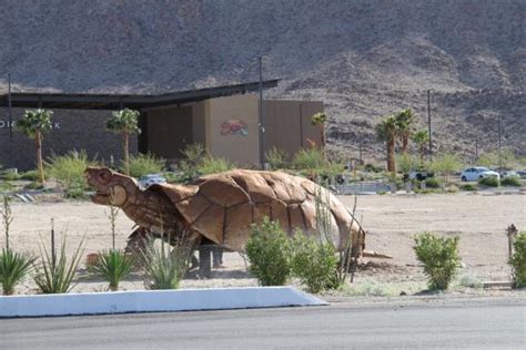 Tortoise Rock Casino: A Thriving Oasis in the Desert of California