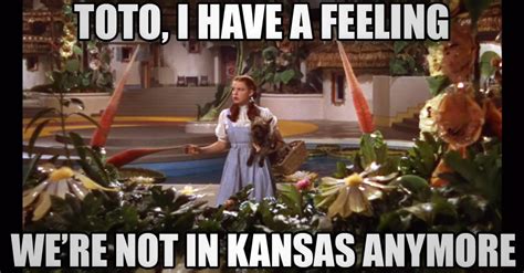 Toto, We're Not In Kansas Anymore: Exploring the Transformation of Digital Marketing