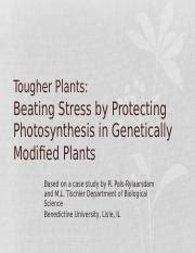 Tougher-plants-case-study-answers Ebook Reader