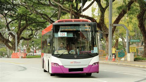 Tower Transit Singapore: A Comprehensive Guide to Bus Services and Commuter Experience