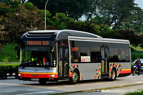 Tower Transit Singapore Pte Ltd.: A Comprehensive Guide to Singapore's Leading Bus Operator