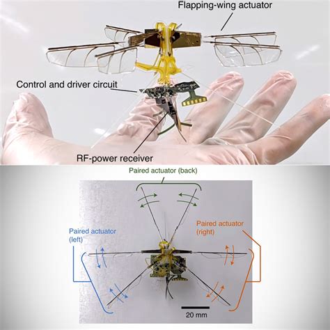 Toy Insects and Robots News: 2025's Cutting-Edge Creations