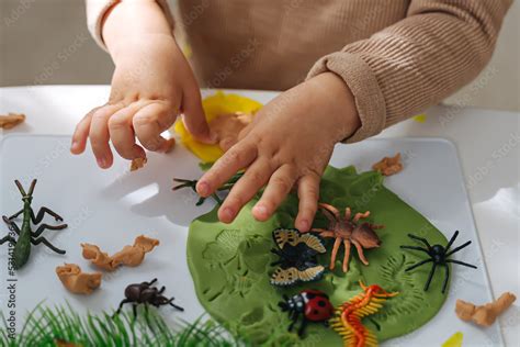 Toy insects for social skills development