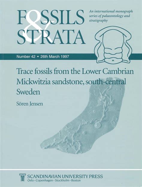 Trace Fossils from the Lower Cambrian Mickwitzia  Sandstone Epub