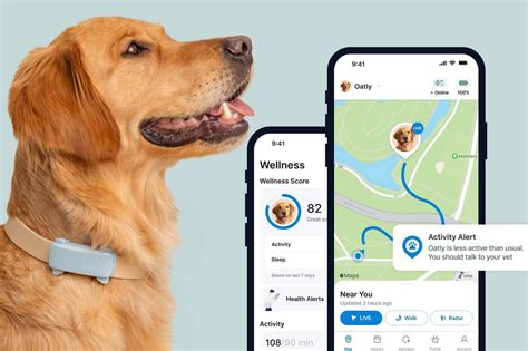 Tractive for Pet Exercise and Fitness: 2025 VS the Future