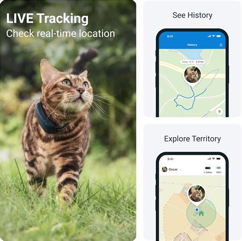 Tractive GPS Cat Tracker Review 2025: Ultimate Protection for Your Feline Friends