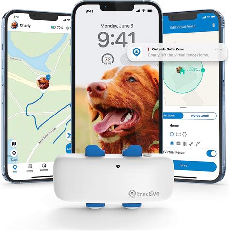 Tractive GPS Dog Tracker Mini 2025: Ultimate Peace of Mind for Your Beloved Companion