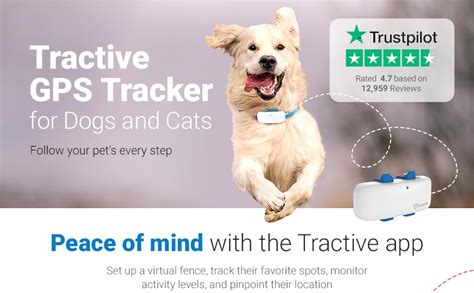 Tractive GPS Pet Tracker: 14,400 Steps to Peace of Mind