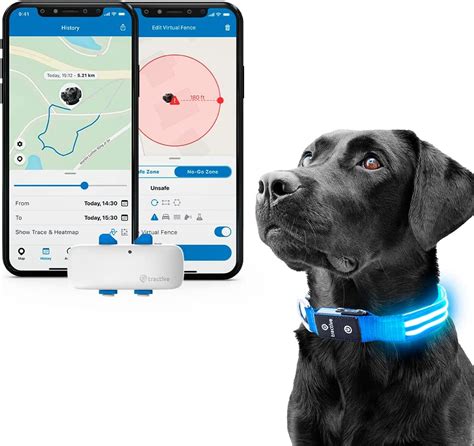 Tractive PET 2025 VS 4: The Ultimate Waterproof Pet Tracker Showdown