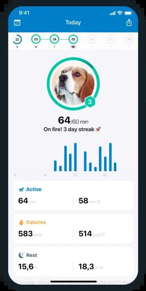 Tractive Pet Tracker Battery Life: 2025 VS Other Trackers