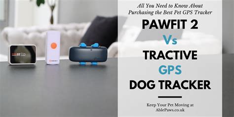 Tractive Pet Tracker Review 2025: VS the Competition