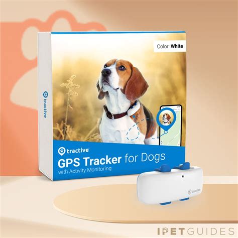 Tractive Pet Tracking DIY Projects for 2025: Ultimate Guide to Peace of Mind