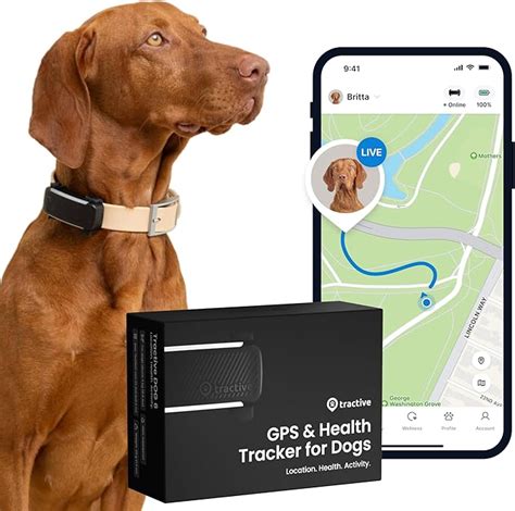 Tractive Pet Tracking Party Ideas for 2025: Unleash the Power of GPS