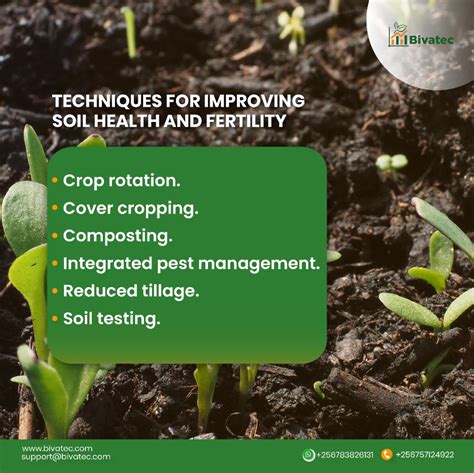 Tractor Supply Fertilizer: Your Guide to Enhancing Soil Health and Crop Productivity