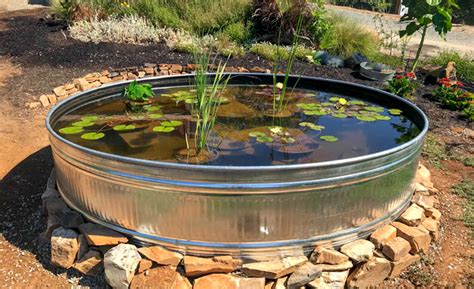 Tractor Supply Stock Tank: 1001 Unique Uses Beyond Watering Livestock