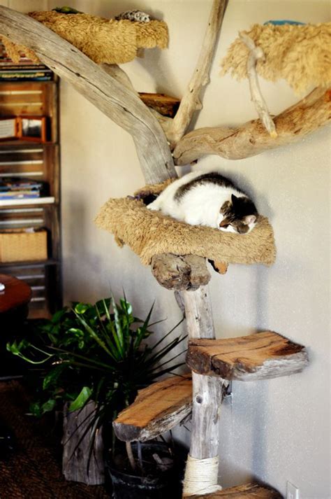 Traditional Cat Trees: