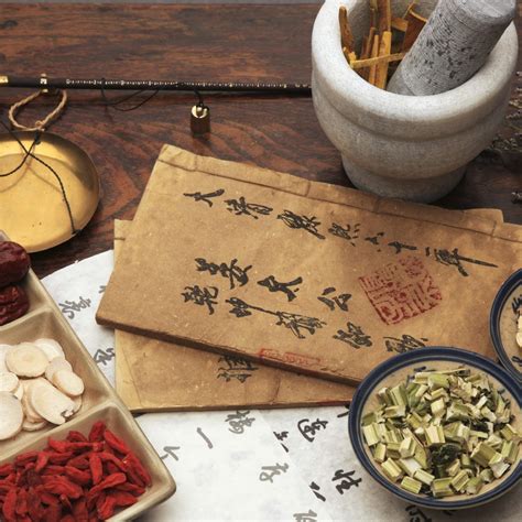 Traditional Chinese Medicine (TCM) Courses: Embark on a Journey of Holistic Healing