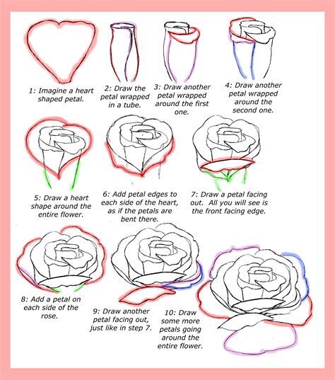 Traditional Rose Step: How to Draw a Rose Flash