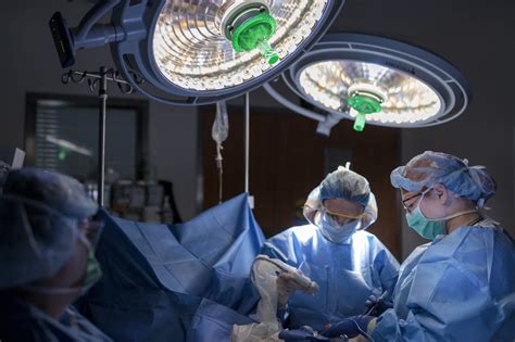 Trailblazing Techniques in Surgical Oncology