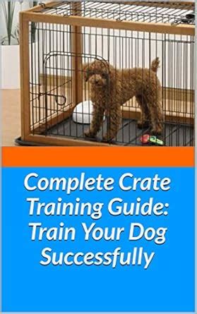 Train Your Dog Successfully with Chocolatedrop Com: A Complete Guide