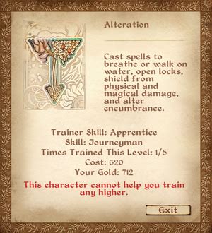 Trainers in Oblivion: 10 Essential Tips to Master Your Skills